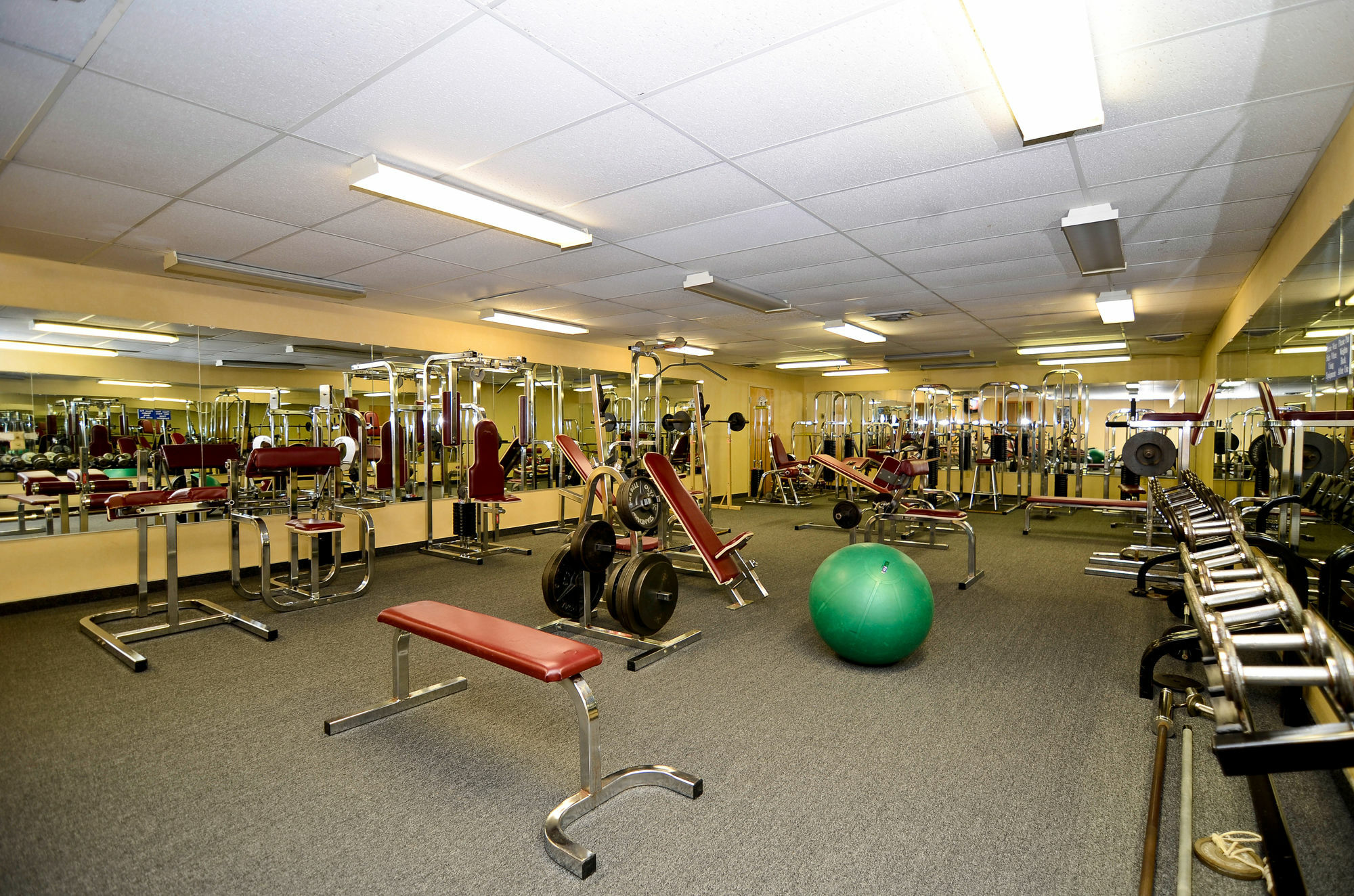 Quality Inn Shelburne - Burlington מראה חיצוני תמונה